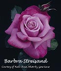 Barbra Streisand