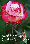 Double Delight